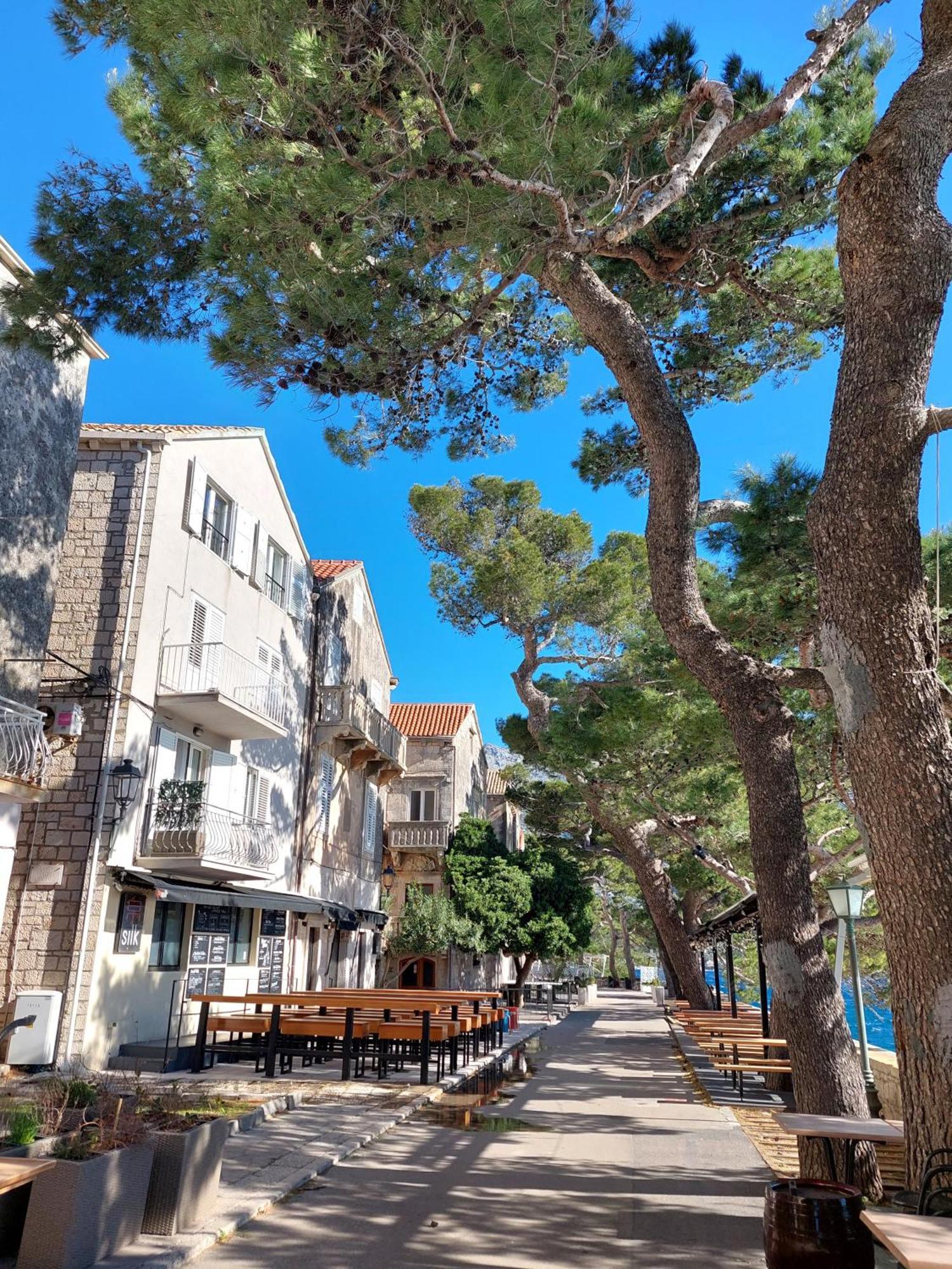 Apartment קורצולה מראה חיצוני תמונה